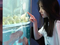 -1718海鲜姿造(苏宁宴请臻选店)