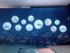 -上海中国航海博物馆