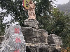 -大岭沟猕猴桃谷风景区