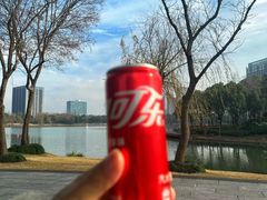 -南翔镇银翔湖公园