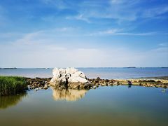 -上海吴淞炮台湾国家湿地公园