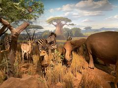 -陕西自然博物馆