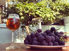 -ZING鲸鱼啤酒(葡萄院店)