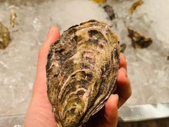 -Oyster Talks 四度蚝法餐厅