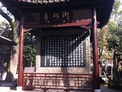 IMG_7850-焦山风景区