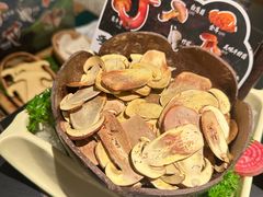 -季季山•云南野生菌火锅(上海首店)