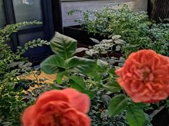 -Devils’ Brewery小恶魔精酿啤酒(武汉天地店)