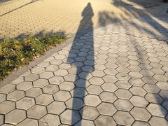 -侵华日军南京大屠杀遇难同胞纪念馆
