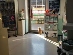 -全心全意连锁动物医院(加州店)