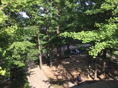 -阳台山自然风景区