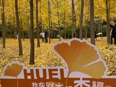 -河南财经政法大学(郑东校区)