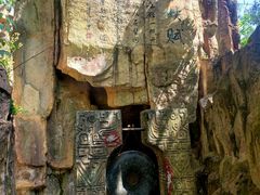 -铁山坪森林公园