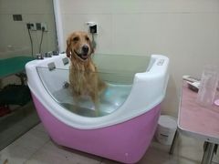 -佳雯宠物医院(四明中路分院)