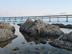 -星海湾跨海大桥