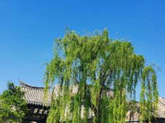 -百花洲