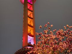 -东方明珠广播电视塔