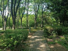 -白塘生态植物园