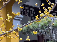 -圆通寺