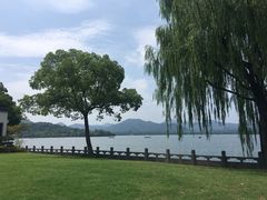 -杭州西湖柳莺里酒店