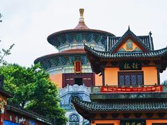 -铁山坪森林公园