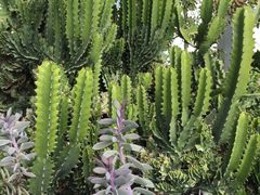 -南通洲际绿博园