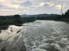-长田漾湿地公园