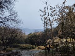 -国家植物园南园