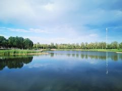 -永定河休闲森林公园