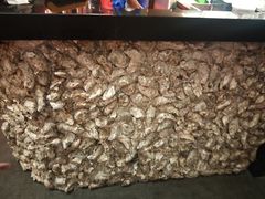 -烧蠔帮·湛江生蚝(茂南万达店)