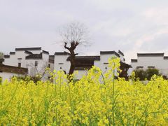 -西溪南古村落景区
