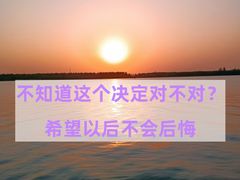 -上海市实验学校