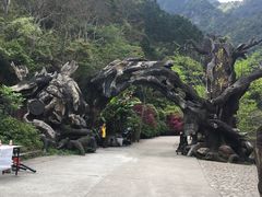 -龙湾潭国家森林公园