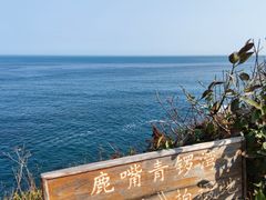 -鹿嘴山庄