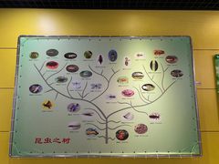 -上海昆虫博物馆