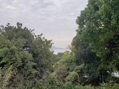 -上海市保健医疗中心