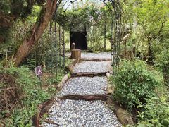 -深圳仙湖植物园