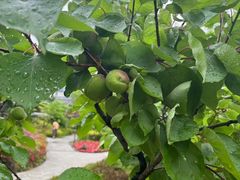 -四川大学(华西校区)