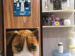-安安宠医宠物医院·异宠·犬猫内科(岳阳分院)