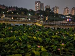 -箸福·夜上海(月牙湖公园店)