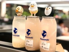 -蔻蔻椰·鲜萃椰子水(COCO Park店)