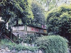-龙井壹号·茶缘山景宴(龙井村店)