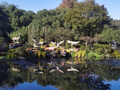 -杭州植物园