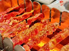 -邢氏老太太烧烤(南山店)