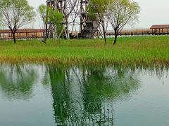 -苏州太湖湖滨国家湿地公园