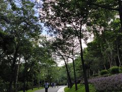 -云溪植物园