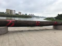 -红色娘子军纪念园