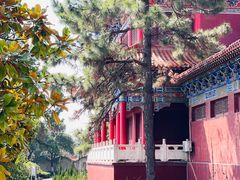 -开福禅寺