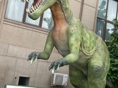 -国家自然博物馆