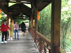 -天赐温泉