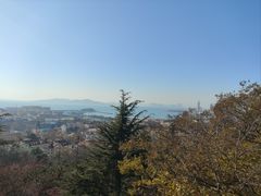 -信号山公园